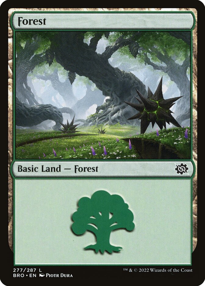 Floresta / Forest - Magic: The Gathering - MoxLand