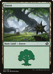 Floresta / Forest - Magic: The Gathering - MoxLand