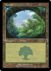 Floresta / Forest - Magic: The Gathering - MoxLand