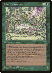 Planta Carnivora / Carnivorous Plant - Magic: The Gathering - MoxLand