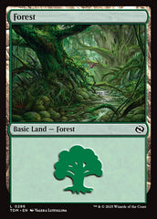 Floresta / Forest - Magic: The Gathering - MoxLand