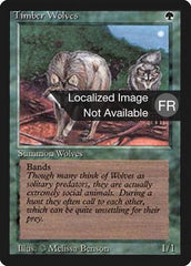 Lobos da Floresta / Timber Wolves - Magic: The Gathering - MoxLand