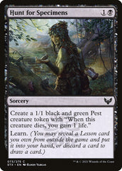 Caça aos Espécimes / Hunt for Specimens - Magic: The Gathering - MoxLand