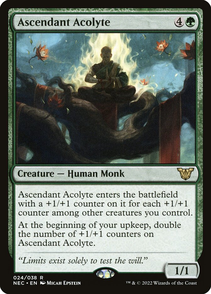 Acólito Ascendente / Ascendant Acolyte - Magic: The Gathering - MoxLand