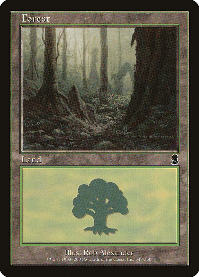 Floresta / Forest