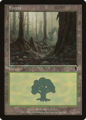 Floresta / Forest