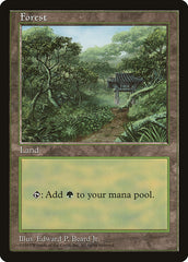 Floresta / Forest - Magic: The Gathering - MoxLand