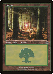 Floresta / Forest - Magic: The Gathering - MoxLand