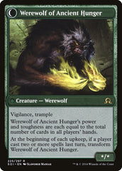 Sábia do Conhecimento Ancestral / Sage of Ancient Lore - Magic: The Gathering - MoxLand