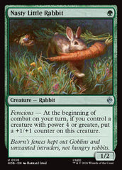 Nasty Little Rabbit