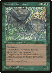 Sanguessugas Terrestres / Land Leeches - Magic: The Gathering - MoxLand