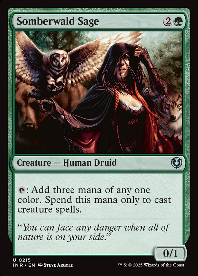 Sábia de Somberwald / Somberwald Sage - Magic: The Gathering - MoxLand