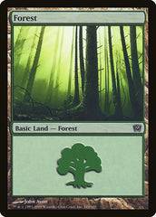 Floresta / Forest - Magic: The Gathering - MoxLand