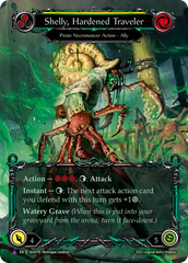 Shelly, Hardened Traveler (Yellow) - Flesh and Blood TCG - MoxLand