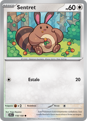 Sentret - Pokémon TCG - MoxLand
