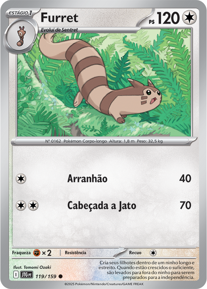 Furret - Pokémon TCG - MoxLand
