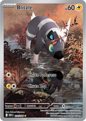 Blitzle - Pokémon TCG - MoxLand