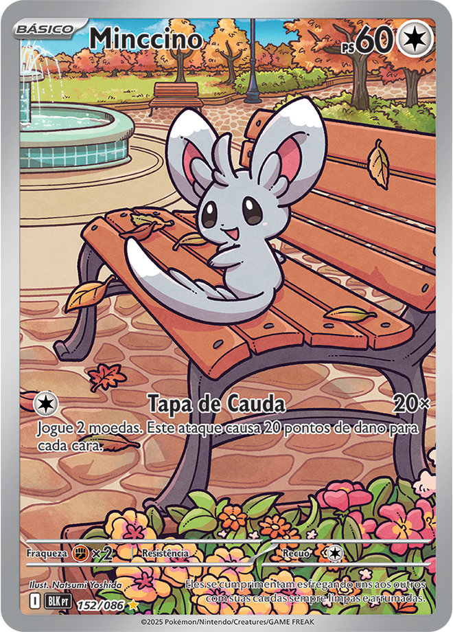 Minccino - Pokémon TCG - MoxLand