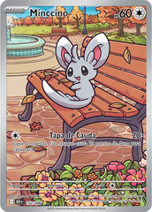 Minccino - Pokémon TCG - MoxLand