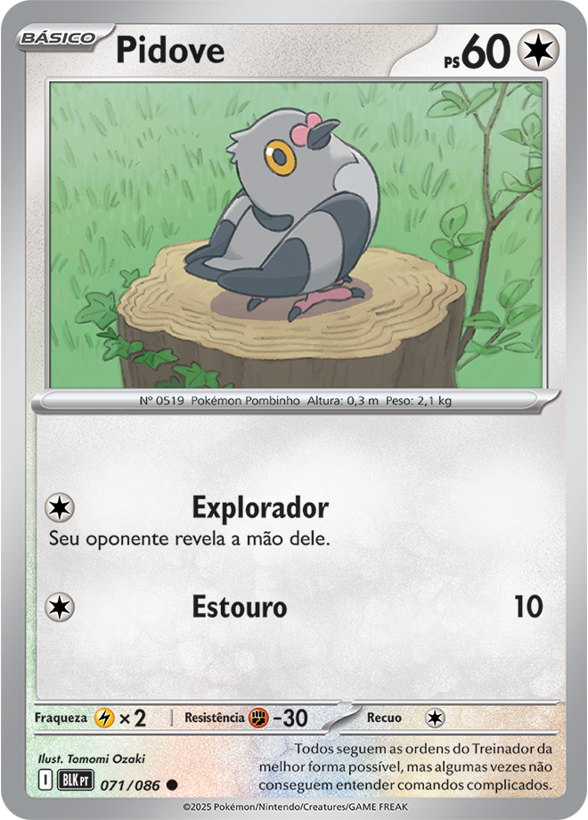 Pidove - Pokémon TCG - MoxLand
