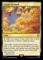 Pomar Exótico / Exotic Orchard - Magic: The Gathering - MoxLand