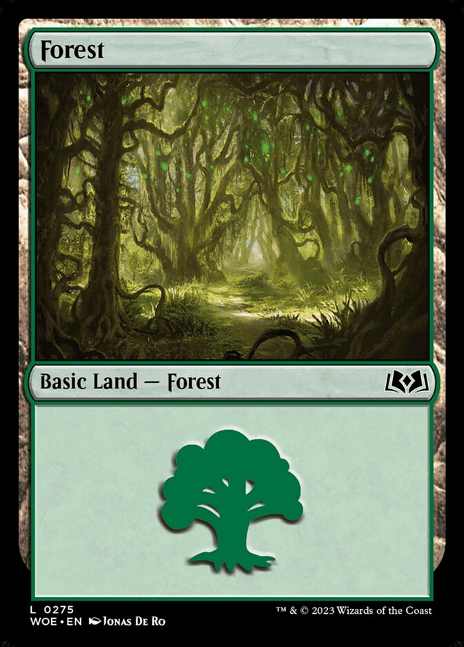 Floresta / Forest - Magic: The Gathering - MoxLand
