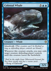 Baleia Colossal / Colossal Whale