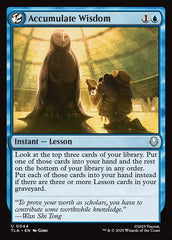Sabedoria Acumulada / Accumulate Wisdom - Magic: The Gathering - MoxLand