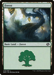 Floresta / Forest - Magic: The Gathering - MoxLand