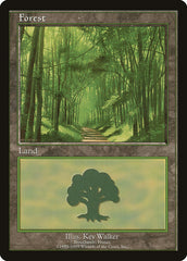 Floresta / Forest - Magic: The Gathering - MoxLand