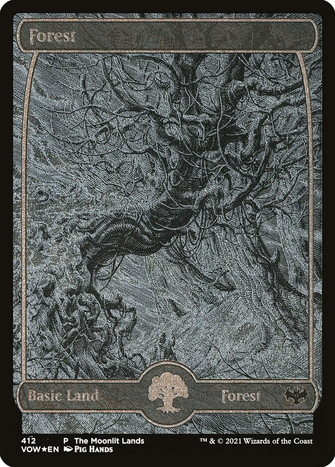 Floresta / Forest - Magic: The Gathering - MoxLand