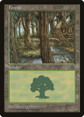 Floresta / Forest - Magic: The Gathering - MoxLand