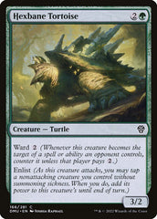 Jabuti Antibruxaria / Hexbane Tortoise - Magic: The Gathering - MoxLand