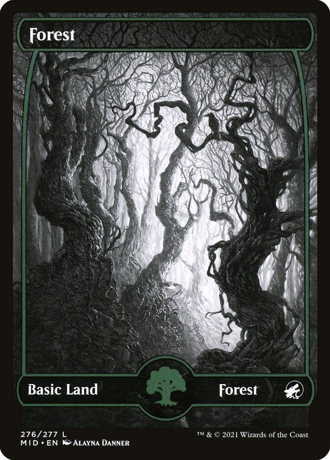 Floresta / Forest - Magic: The Gathering - MoxLand