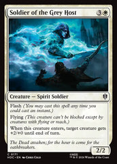 Soldado da Hoste Cinzenta / Soldier of the Grey Host