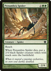 Aranha da Penumbra / Penumbra Spider - Magic: The Gathering - MoxLand