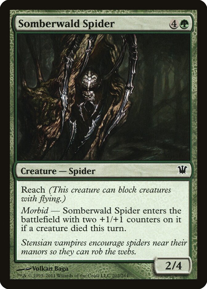 Aranha de Somberwald / Somberwald 
