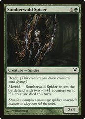 Aranha de Somberwald / Somberwald 