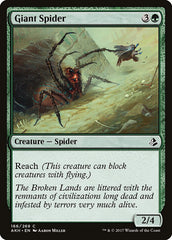 Aranha Gigante / Giant Spider