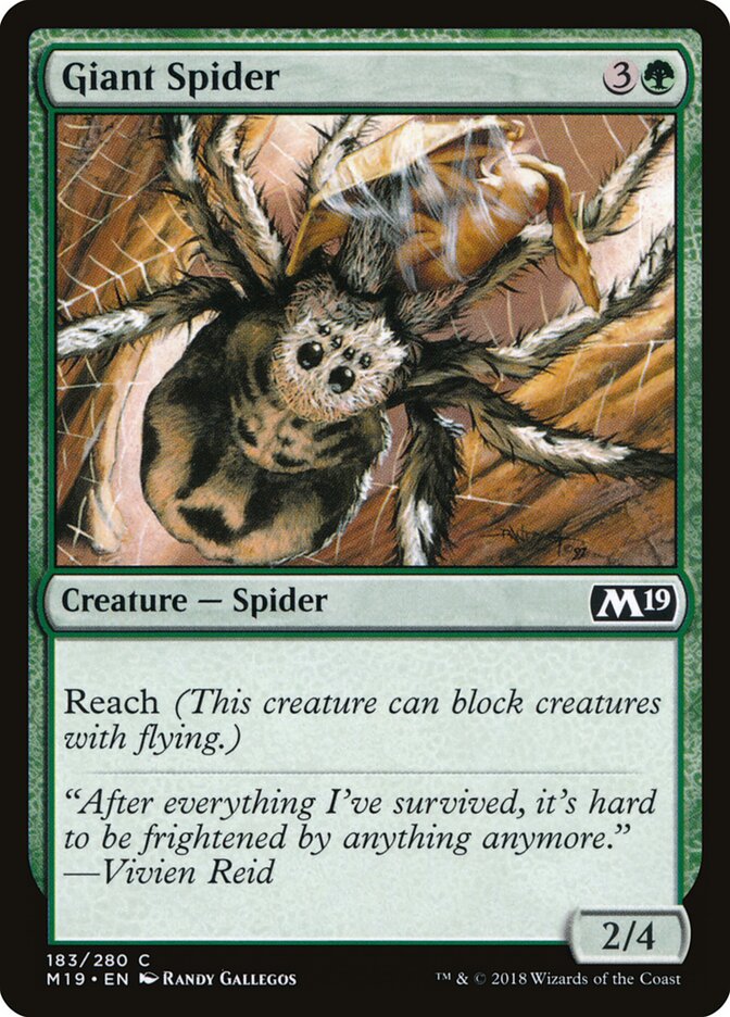 Aranha Gigante / Giant Spider