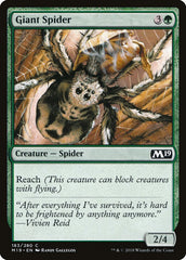 Aranha Gigante / Giant Spider
