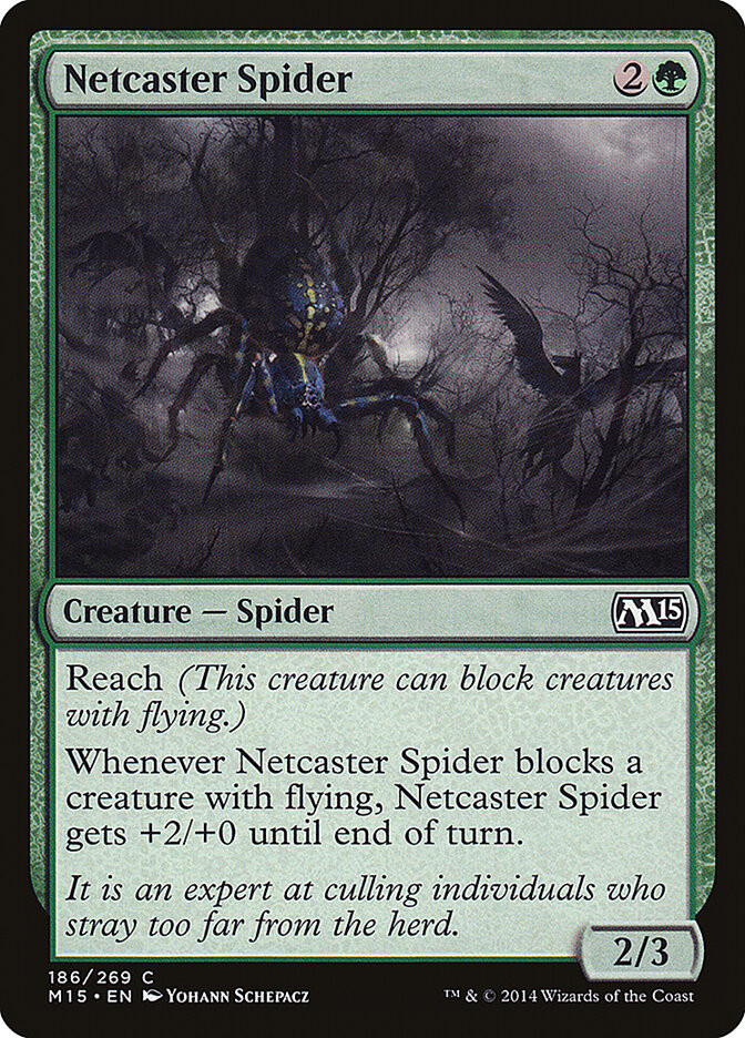 Aranha Lançadora de Rede / Netcast