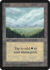 Planície / Plains - Magic: The Gathering - MoxLand