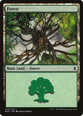 Floresta / Forest - Magic: The Gathering - MoxLand