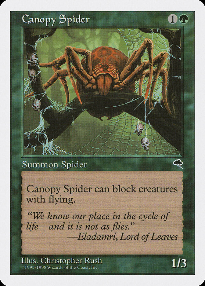 Aranha Baldaquina / Canopy Spider - Magic: The Gathering - MoxLand