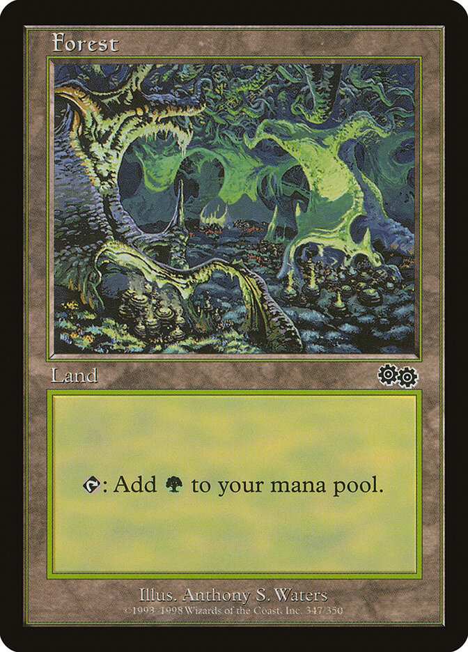 Floresta / Forest - Magic: The Gathering - MoxLand