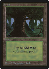 Floresta / Forest - Magic: The Gathering - MoxLand