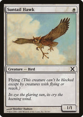 Falcão da Cauda Solar / Suntail Hawk - Magic: The Gathering - MoxLand