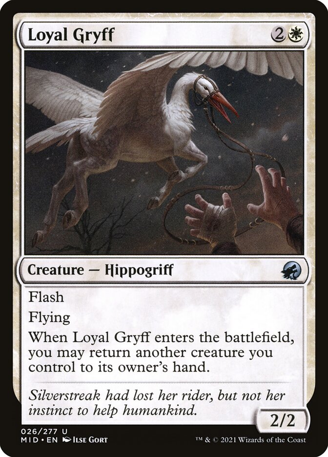 Grifino Leal / Loyal Gryff - Magic: The Gathering - MoxLand