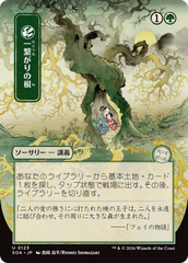 Raízes Partilhadas / Shared Roots - Magic: The Gathering - MoxLand